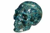 Polished, Bright Blue Apatite Skull #107221-2